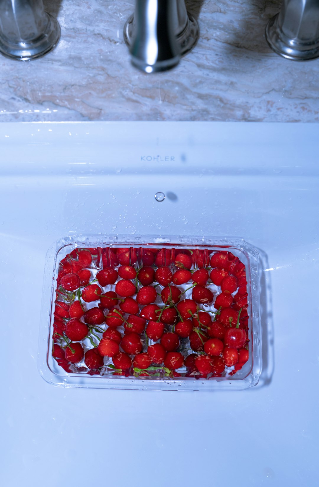 Strawberry Small Refrigerator Lotion Book