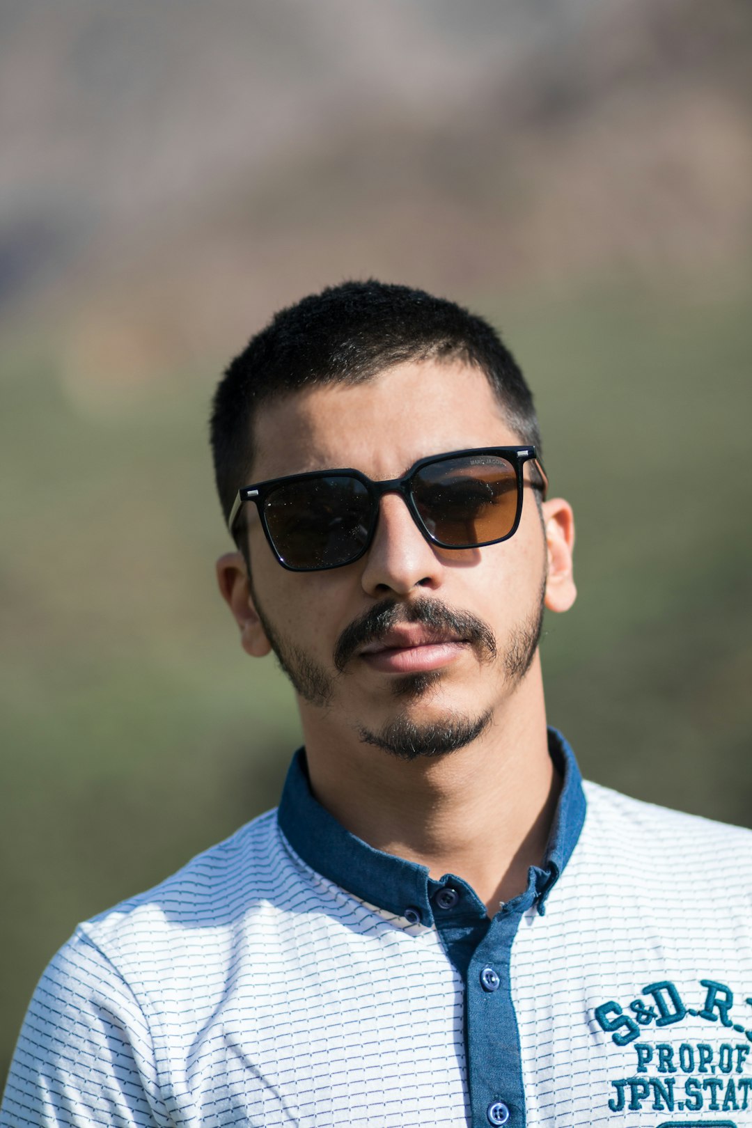 Rooster Car Plastic Rooster Car Plastic