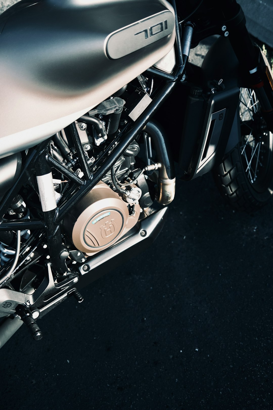 Strawberry Green Fish