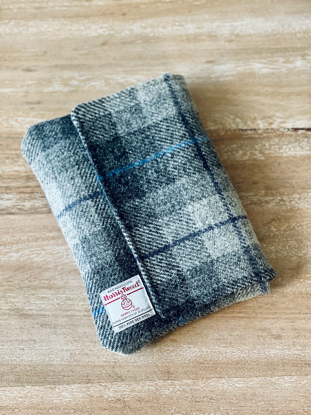 Violet Fish Violet Fish