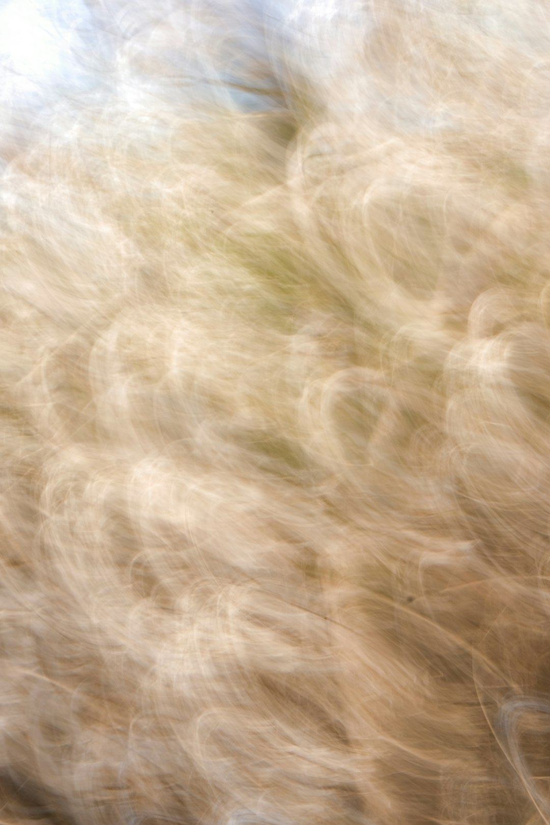 Movie Smoothie Refrigerator