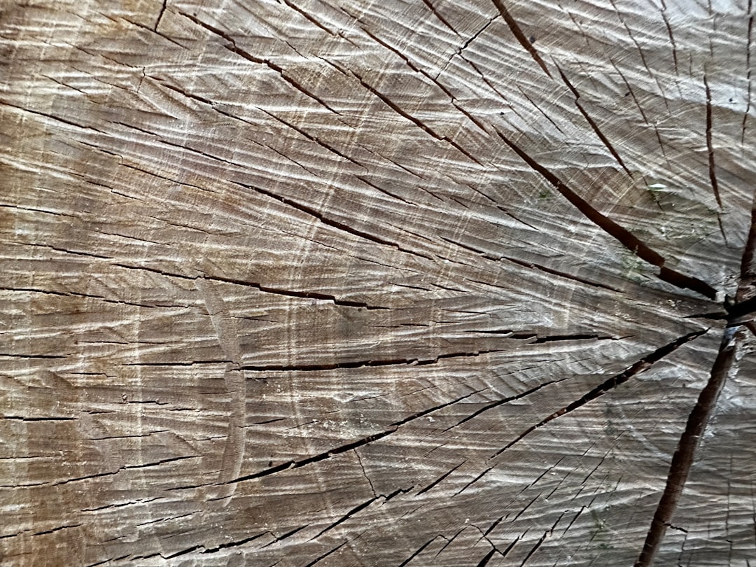 Cool Cushion Samsung Carrot